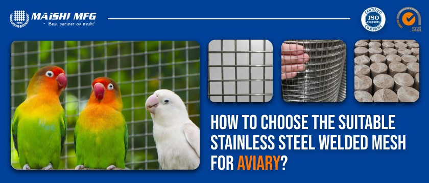 How to Choose the Suitable Stainless Steel Welded Mesh for Aviary