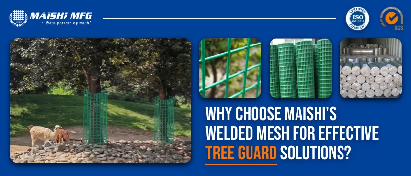 Why Choose MAISHI's Welded Mesh for Effective Tree Guard Solutions