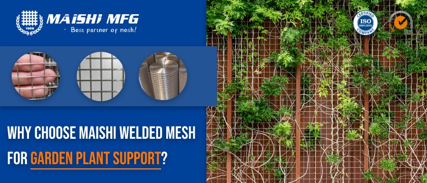 Why Choose MAISHI Welded Mesh for Garden Plant Support