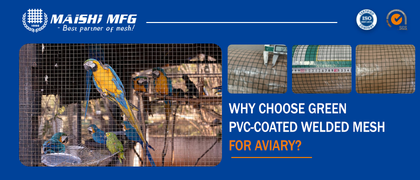 Why Choose Green PVC-Coated Welded Mesh for Aviary