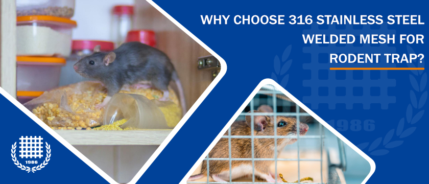 Why choose 316 stainless steel welded mesh for Rodent Trap