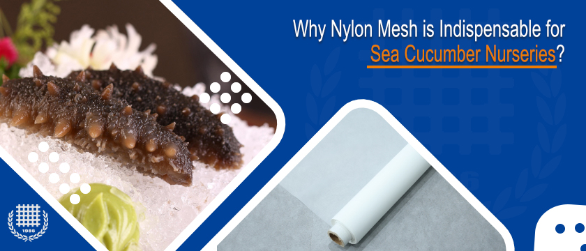 Why Nylon Mesh is Indispensable for Sea Cucumber Nurseries