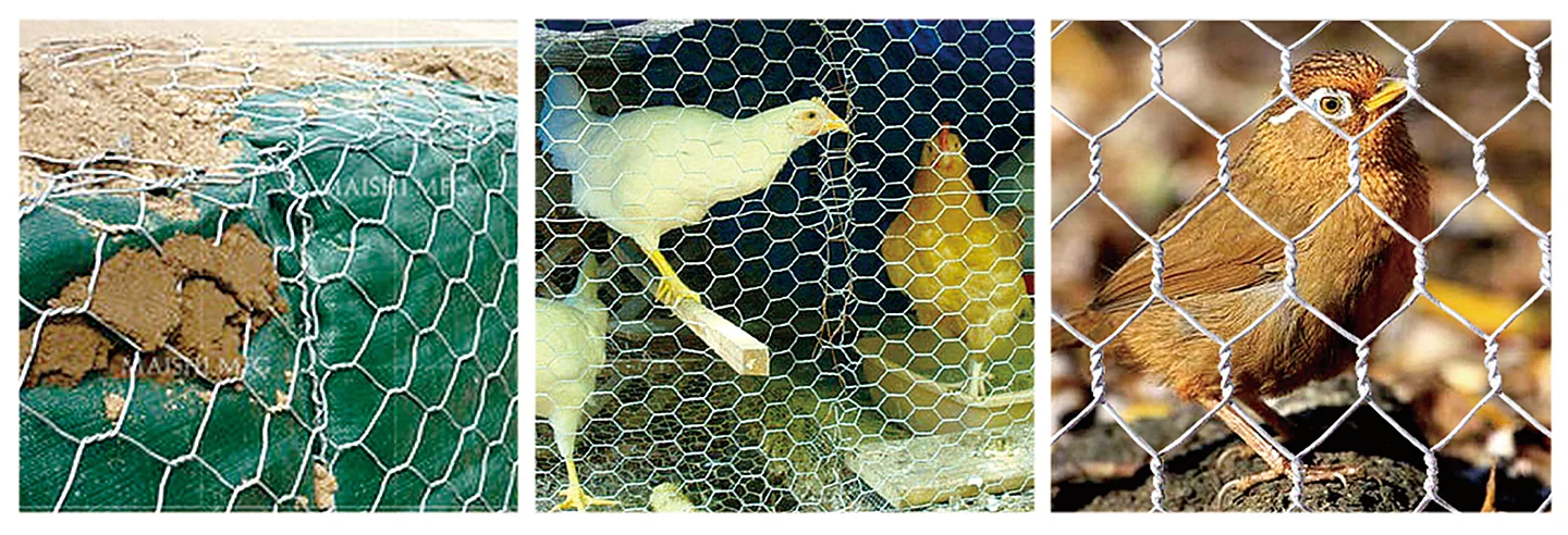 MAISHI hexagonal wire mesh poultry, gabion
