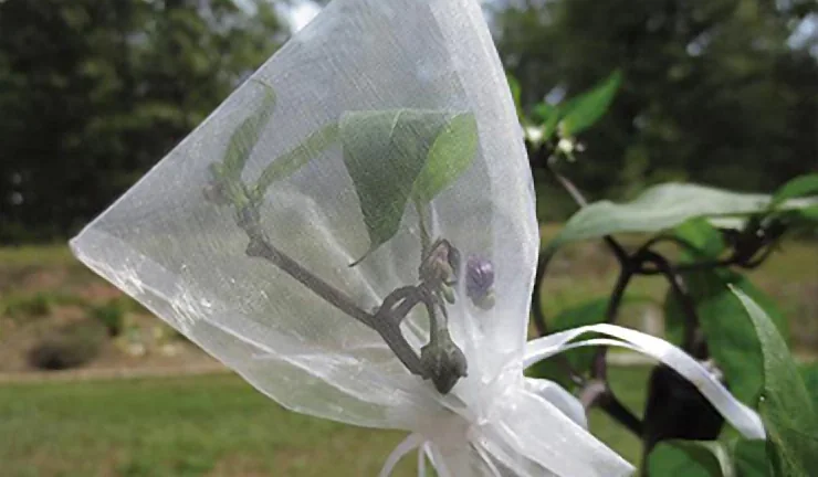 MAISHI nylon mesh fruit protection bag